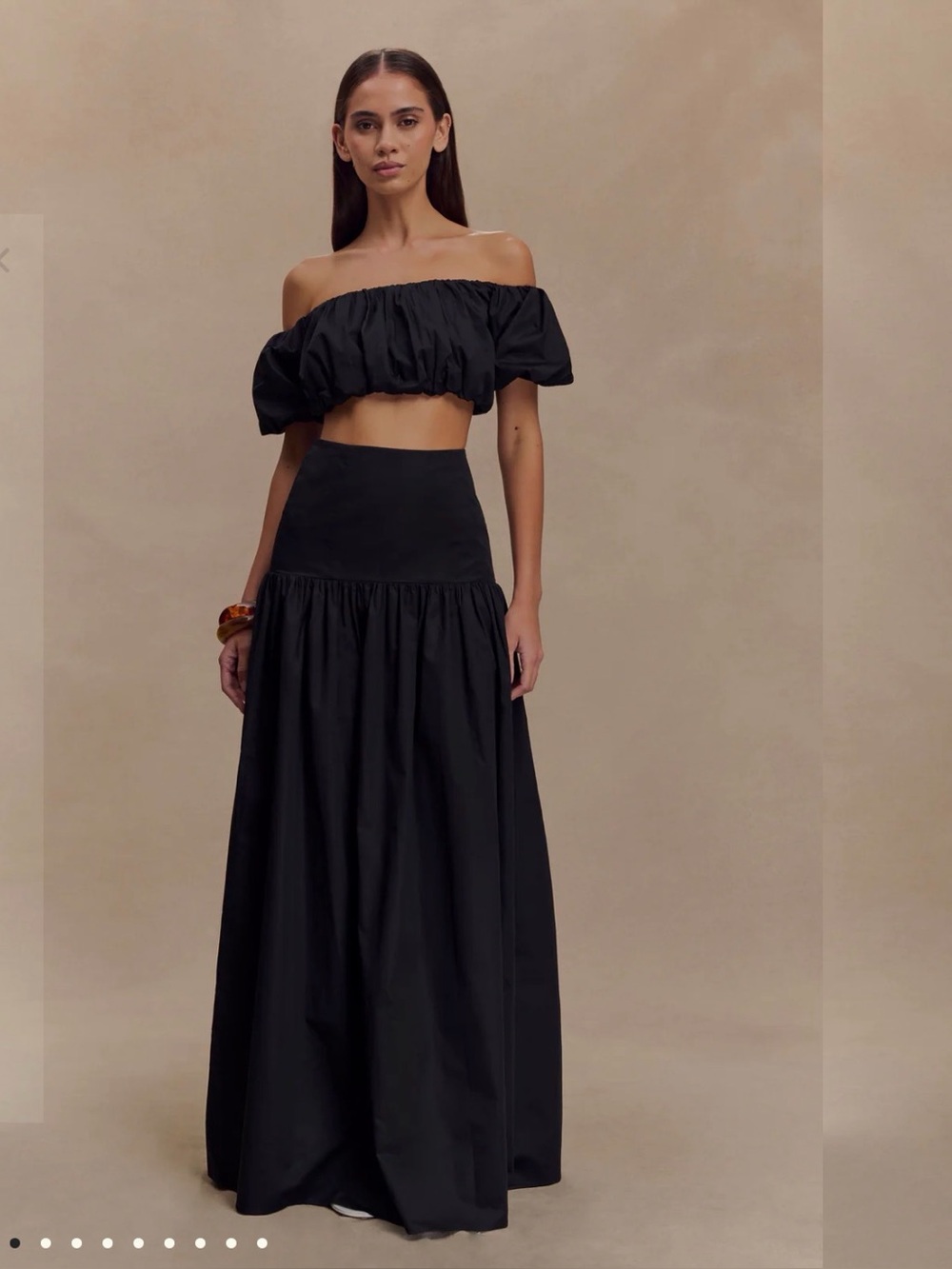 NWT Meshki Skirt